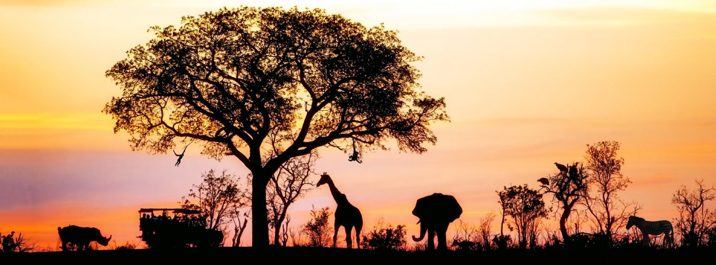 GÜNEY AFRİKA I SAFARİ ROTASI TURU I 6 GECE 8 GÜN I THY (İST/JNB-CPT/İST)I VİZESİZ